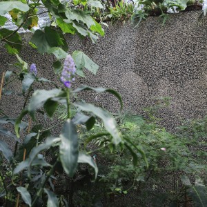 Construction de serres botaniques et de locaux connexes au Jardin des Sciences