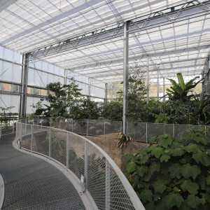 Construction de serres botaniques et de locaux connexes au Jardin des Sciences