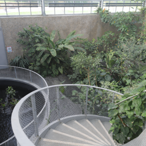 Construction de serres botaniques et de locaux connexes au Jardin des Sciences